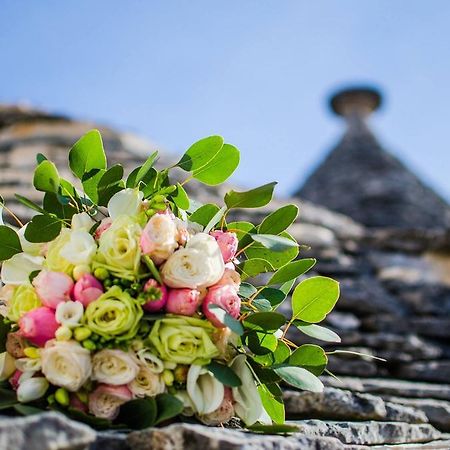 알베르벨로 Trullo In Light 빌라 외부 사진